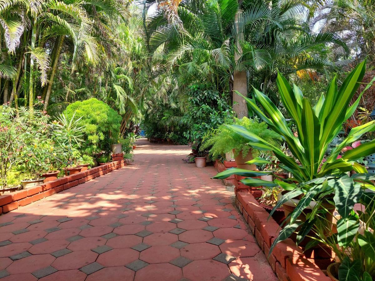 Palm Grove Cottages - Leisure Resort Benaulim Bagian luar foto