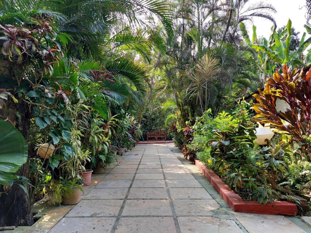 Palm Grove Cottages - Leisure Resort Benaulim Bagian luar foto