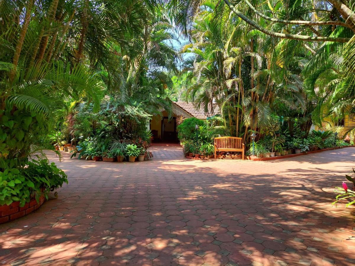 Palm Grove Cottages - Leisure Resort Benaulim Bagian luar foto