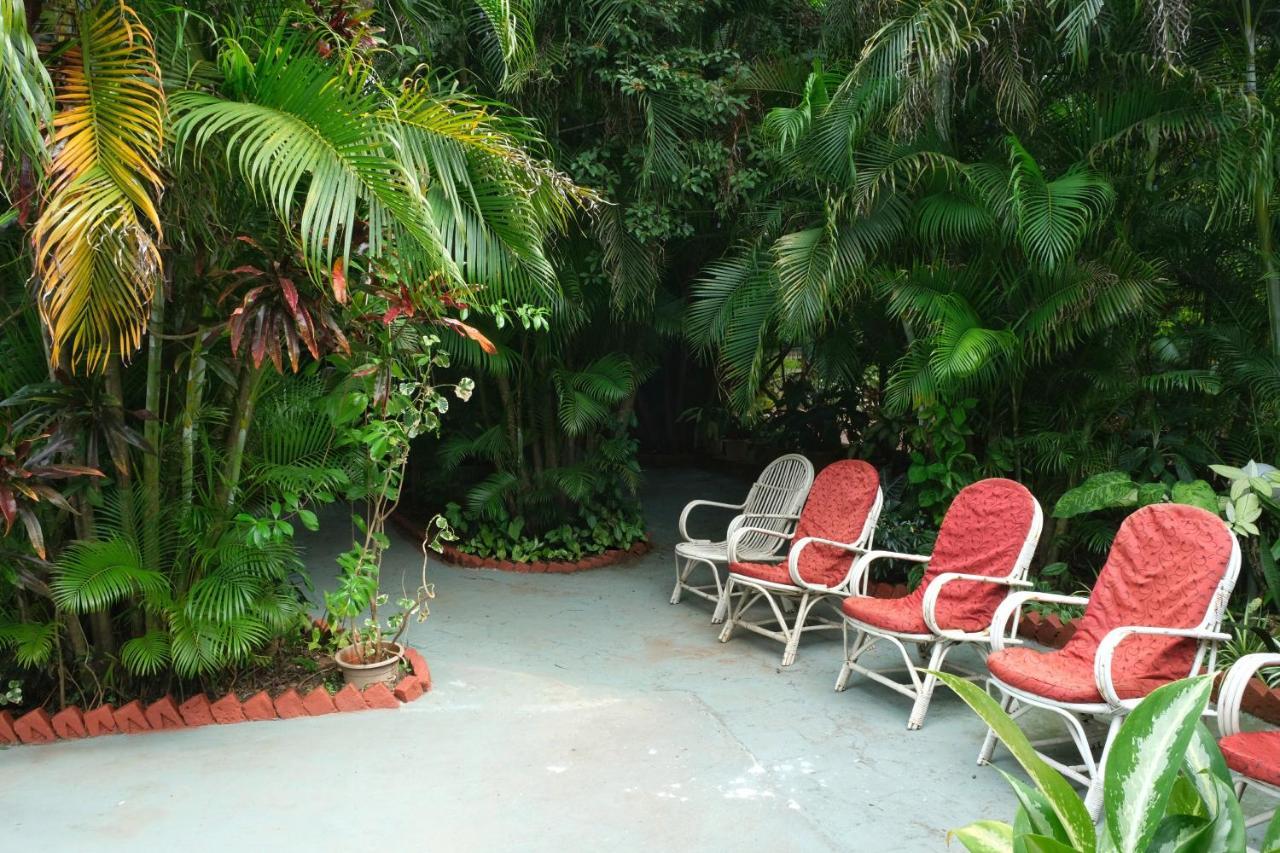 Palm Grove Cottages - Leisure Resort Benaulim Bagian luar foto