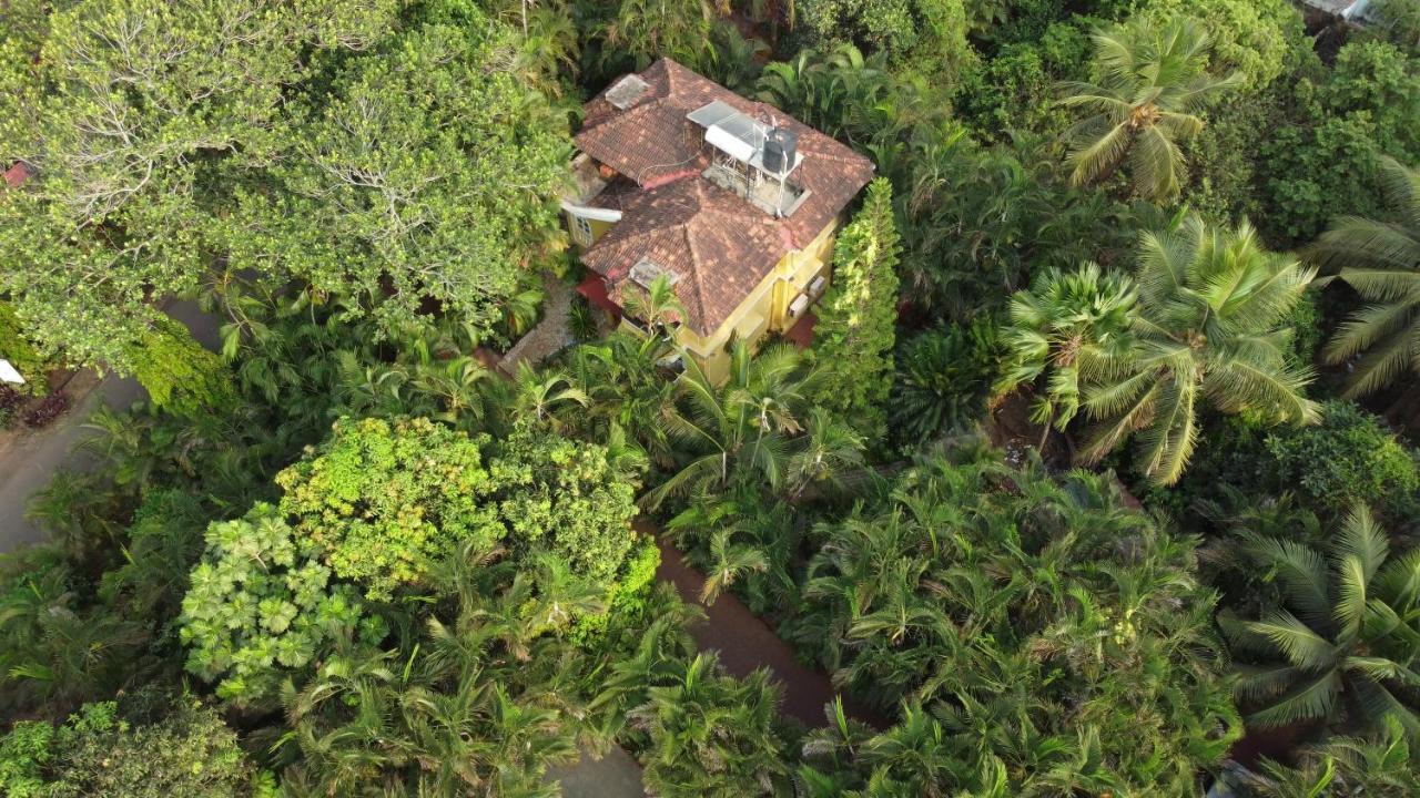 Palm Grove Cottages - Leisure Resort Benaulim Bagian luar foto
