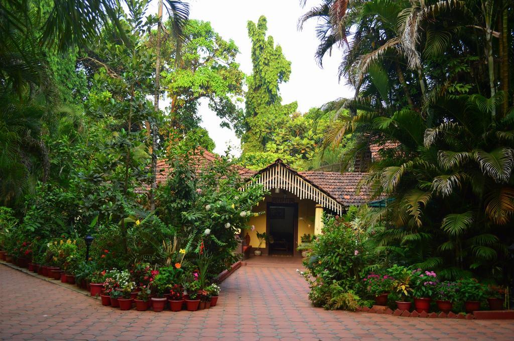 Palm Grove Cottages - Leisure Resort Benaulim Bagian luar foto