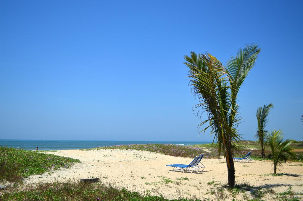 Palm Grove Cottages - Leisure Resort Benaulim Bagian luar foto