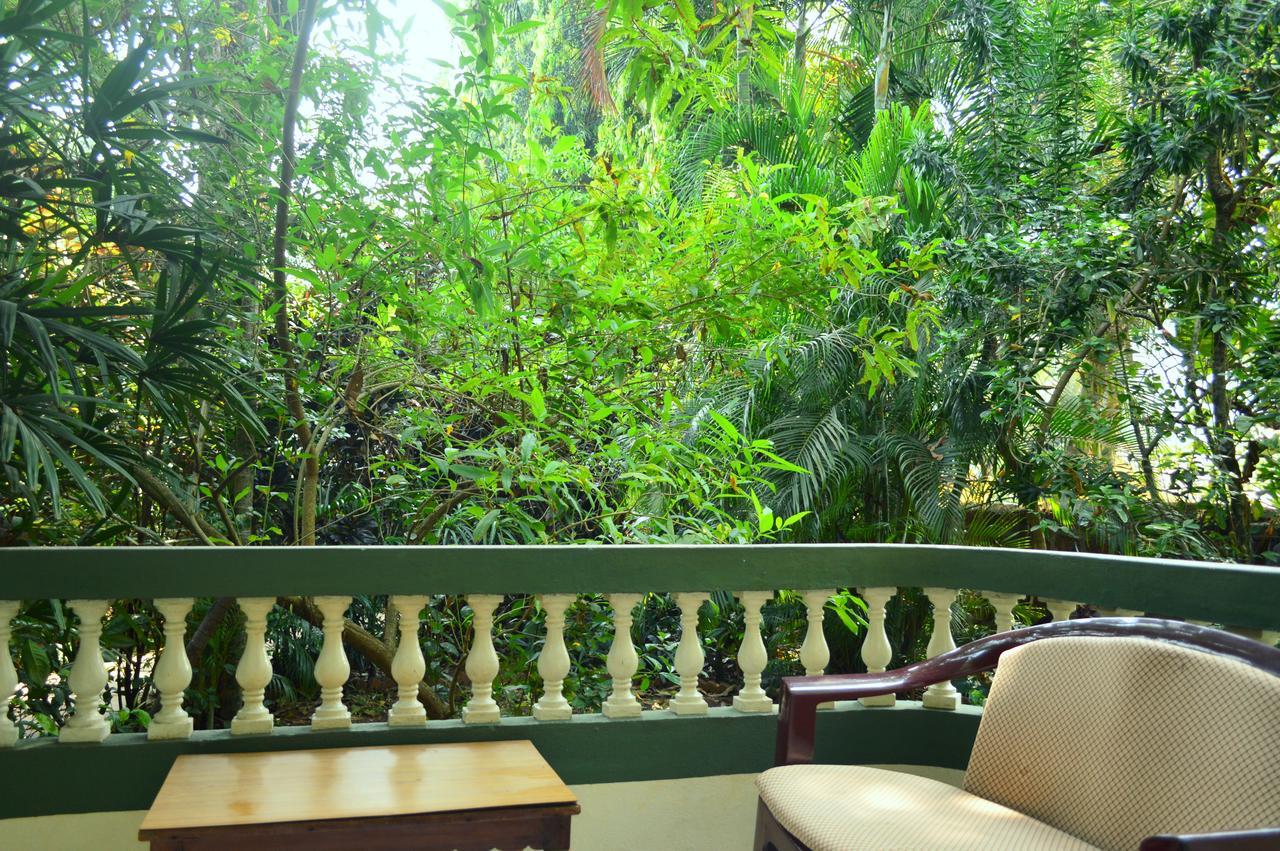 Palm Grove Cottages - Leisure Resort Benaulim Bagian luar foto