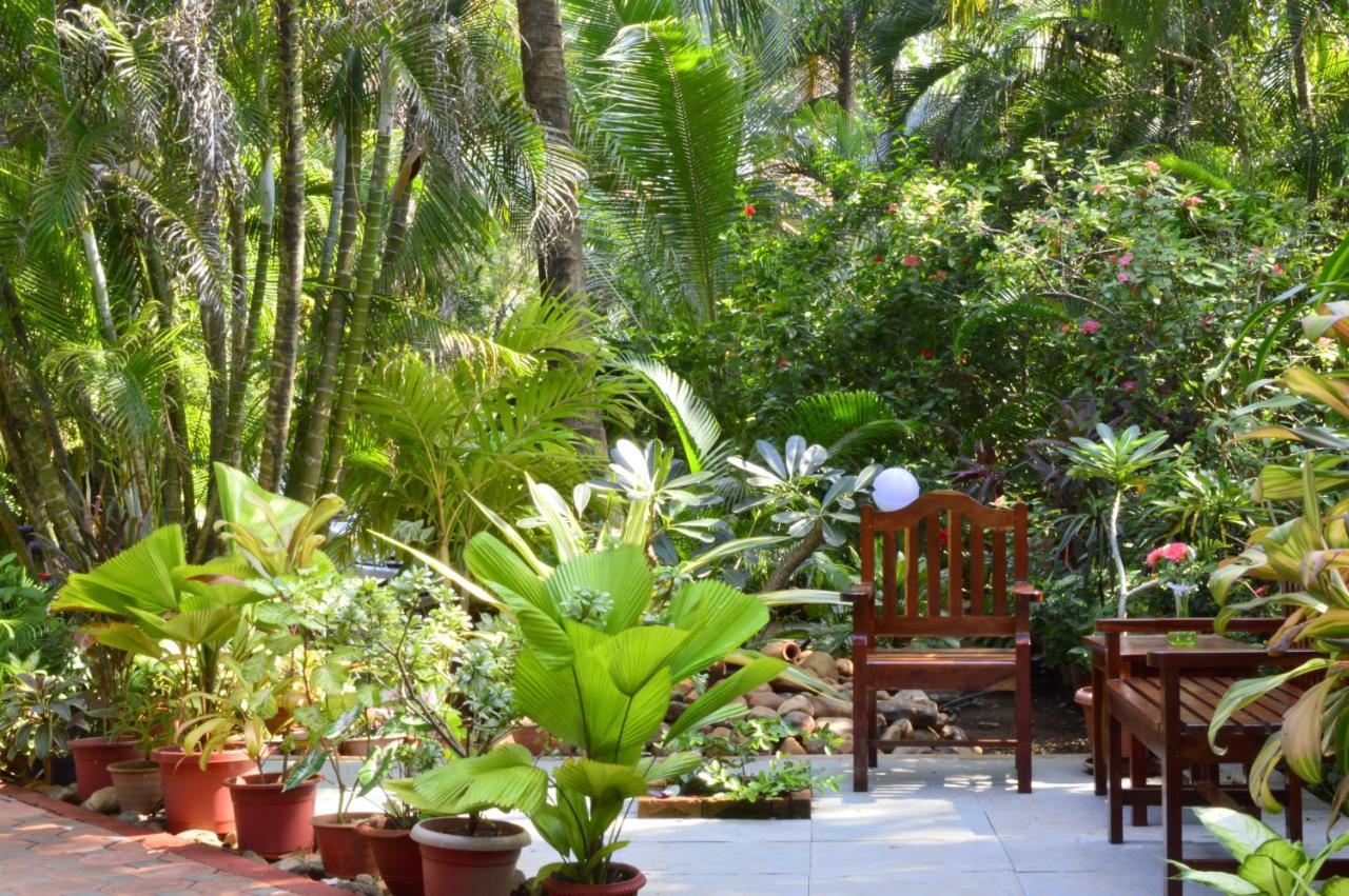 Palm Grove Cottages - Leisure Resort Benaulim Bagian luar foto