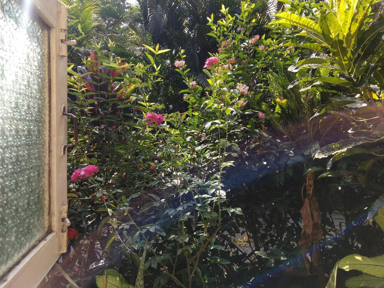 Palm Grove Cottages - Leisure Resort Benaulim Bagian luar foto